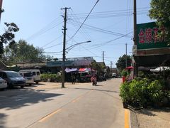 -金陵花卉交易市场