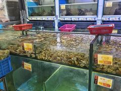 -大茄来海鲜餐厅(亚洲城分行)
