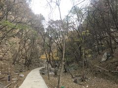 -北京上方山国家森林公园