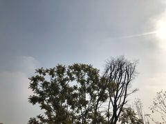 -星巴克(成都科学城店)