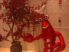 -新日月育才大酒店-中餐厅(环城北路店)