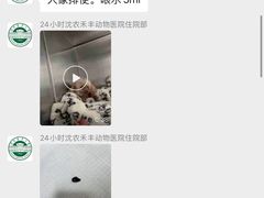 -派美特宠物医院·核磁CT·骨科肿瘤·疑难转诊(沈农禾丰店)