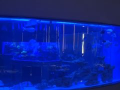 -上和臻品中国菜(花园街店)