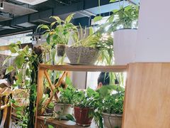-云上千禾(水上店)