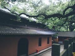 -普陀山风景名胜区-法雨禅寺