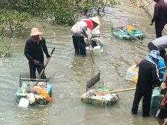 -北海金海湾红树林生态旅游区