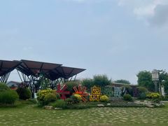 -上海长兴岛郊野公园