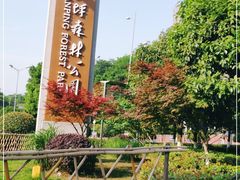 -铁山坪森林公园