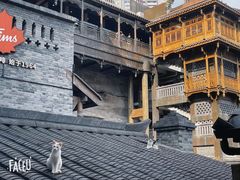 -重庆十八梯传统风貌区