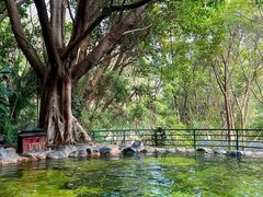 -湖泉半山温泉(湖泉生态园)