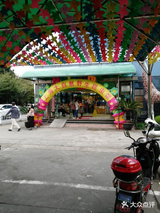 上海大自然野生昆虫馆图片