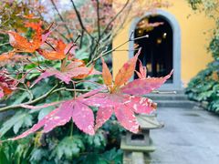 -慧因高丽寺