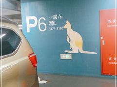 -虹桥综合交通枢纽-P6停车库