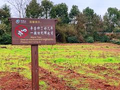 -许家山