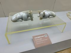 -邹城博物馆