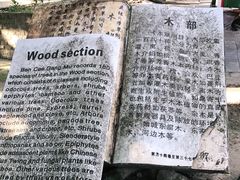 -广西壮族自治区药用植物园
