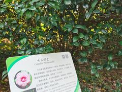 -华南国家植物园-售票处