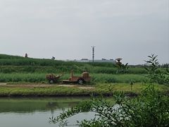 -乌村
