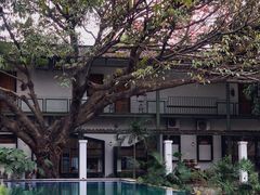 -喜洲吧·江畔老船厂·庭院餐厅(喜临院店)
