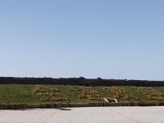 -金塔沙漠胡杨林景区
