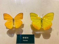 -陕西自然博物馆