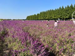 -嘉北郊野公园