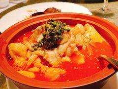 -苏浙总会(国金中心店)