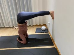 -凡瑜伽·普拉提