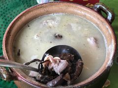 老火风姜月婆鸡-正宗高流河饭店原创风姜鸡