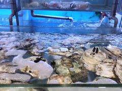 -钱塘府海鲜餐厅