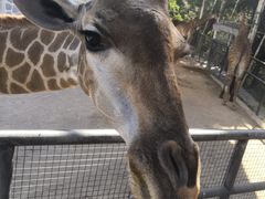 -泉州海丝野生动物世界