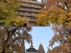 -北京石刻艺术博物馆(五塔寺)