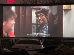 -枫花园汽车电影院(朝阳公园店)