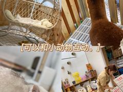 -鹏欣水游城