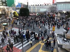 -涩谷区