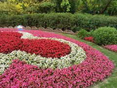 -上海共青森林公园