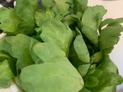 -内蒙古驻京办餐厅