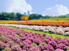 -海心沙亚运公园