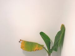 -朵朵开素食餐厅(后宰门街店)