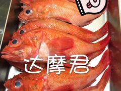 -达摩君日本料理(泰海花园小区店)