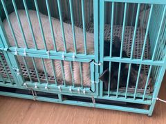 -小时光咖啡馆(开森度假森林店)