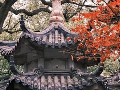 -普陀山风景名胜区-法雨禅寺