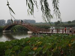 -白洋淀景区