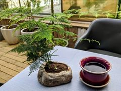 -塔布渔锅(紫御江山店)