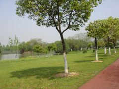 -艾溪湖湿地公园