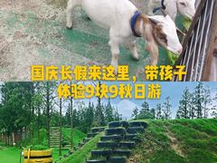 -前小桔亲子创意农场·草莓采摘·露营烧烤