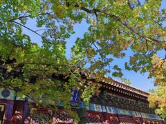 -香山公园