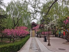 -团结湖公园