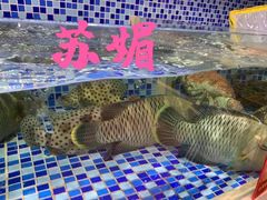 -欧记·龙城港(欣都店)