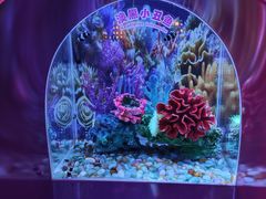 -秦皇岛新澳海底世界